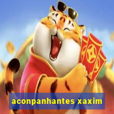 aconpanhantes xaxim