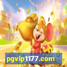 pgvip1177.com