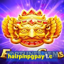 hairpinpgpay1.com