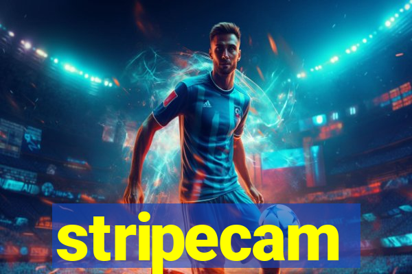 stripecam